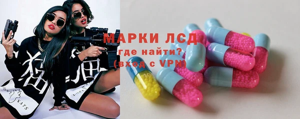 твердый Бородино