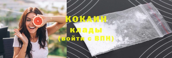 твердый Бородино
