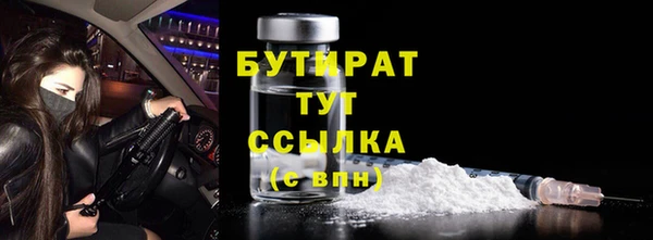 твердый Бородино