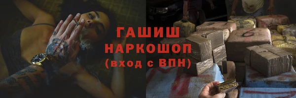 твердый Бородино