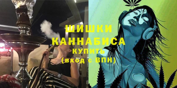 твердый Бородино
