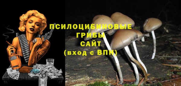 твердый Бородино