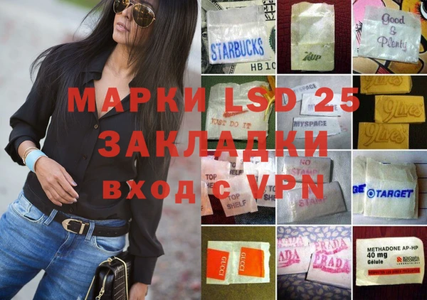 твердый Бородино