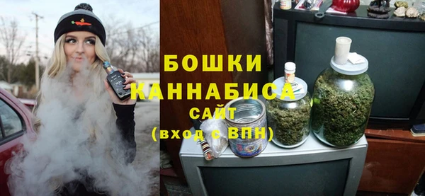 твердый Бородино