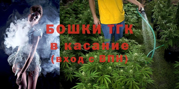 твердый Бородино