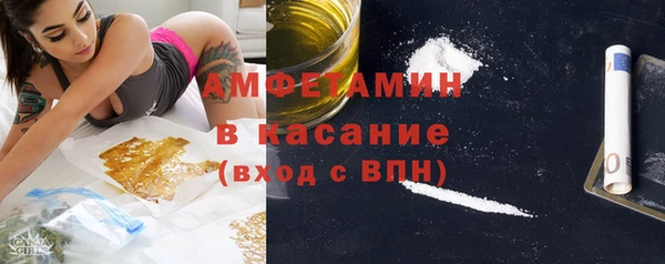 твердый Бородино