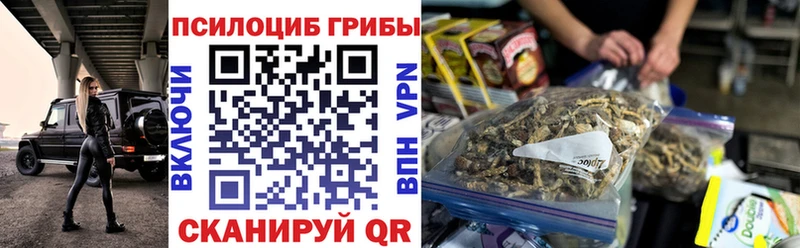 закладка  Красково  Псилоцибиновые грибы прущие грибы 